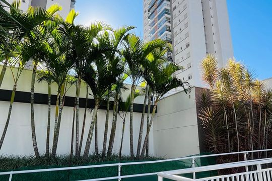 Apartamento para alugar com 3 quartos, 87m² em Jardim Belo Horizonte, Campinas