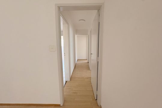 Corredor de apartamento para alugar com 2 quartos, 88m² em Vila Mariana, São Paulo