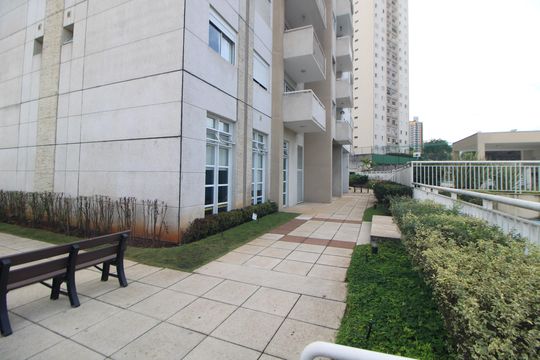 Área Comum de apartamento para alugar com 3 quartos, 64m² em Santana, São Paulo