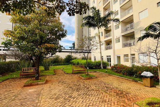 Apartamento para alugar com 3 quartos, 66m² em Mansões Santo Antônio, Campinas