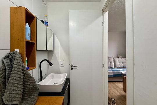 Banheiro  de apartamento para alugar com 2 quartos, 35m² em Usina Piratininga, São Paulo