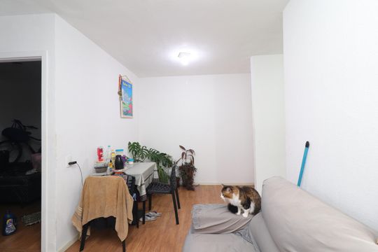 Sala de apartamento para alugar com 2 quartos, 44m² em Vila Chabilandia, São Paulo