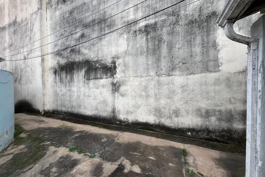 Área externa de casa para alugar com 1 quarto, 55m² em Vila Mimosa, Campinas