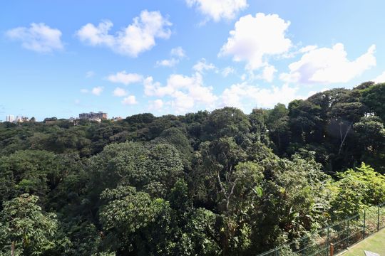 Vista  de apartamento para alugar com 2 quartos, 32m² em Nova Brasília, Salvador