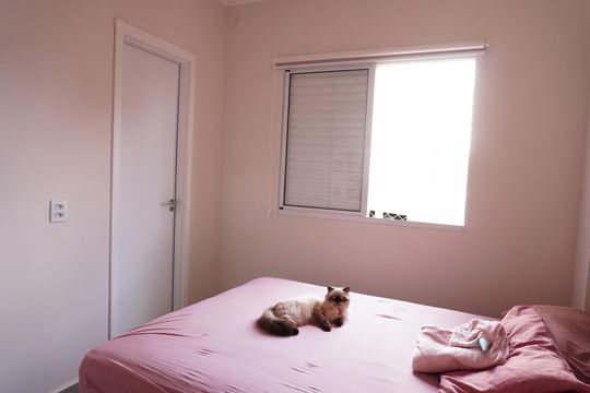 Apartamento para alugar com 2 quartos, 45m² em Residencial Parati, São Carlos