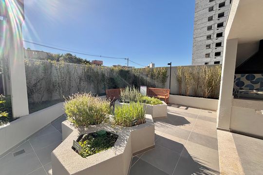 Área comum de apartamento para alugar com 2 quartos, 43m² em Vila Campanela, São Paulo