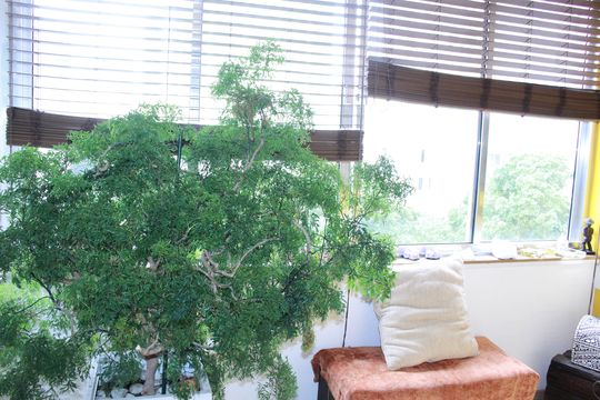 Apartamento à venda com 1 quarto, 60m² em Santa Cecilia, São Paulo