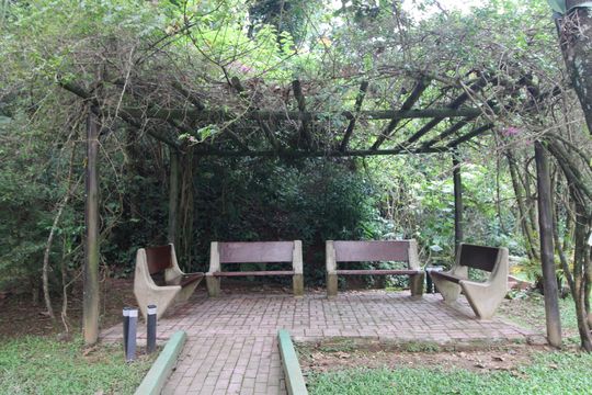 Área comum de apartamento para alugar com 3 quartos, 67m² em Jardim Taquaral, São Paulo