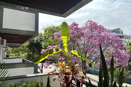 Apartamento à venda com 2 quartos, 83m² em Recreio dos Bandeirantes, Rio de Janeiro
