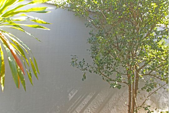 Casa de Condomínio à venda com 3 quartos, 203m² em Residencial Terras de Sao Francisco, Vinhedo