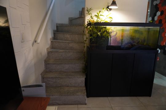 Casa à venda com 2 quartos, 75m² em Cidade Antônio Estêvão de Carvalho, São Paulo