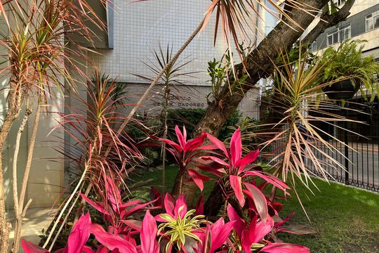 Área comum - jardim da entrada de apartamento para alugar com 4 quartos, 182m² em Centro, Juiz de Fora