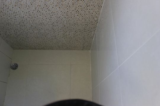 Banheiro  de apartamento para alugar com 2 quartos, 45m² em Ponte Grande, Guarulhos