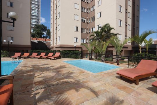 Área comum - Piscina de apartamento para alugar com 2 quartos, 50m² em Chácara Belenzinho, São Paulo