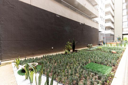 Jardim de apartamento para alugar com 2 quartos, 60m² em Campos Elíseos, São Paulo