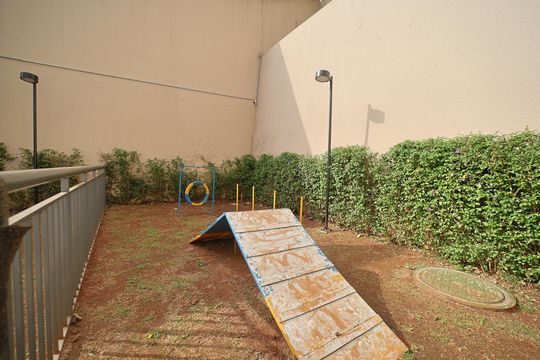 Área comum - Pet de apartamento para alugar com 2 quartos, 39m² em Vila Guilhermina, São Paulo