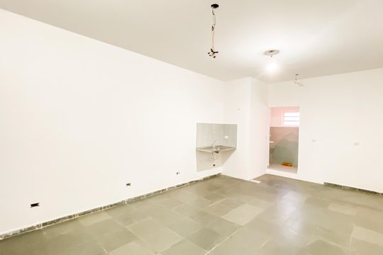 Sala/cozinha de kitnet/studio para alugar com 1 quarto, 30m² em Subprefeitura de Ermelino Matarazzo, São Paulo