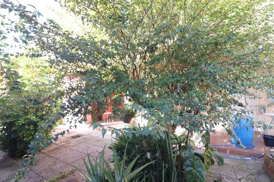Quintal de casa à venda com 3 quartos, 180m² em Jardim Lauro Gomes, São Bernardo do Campo