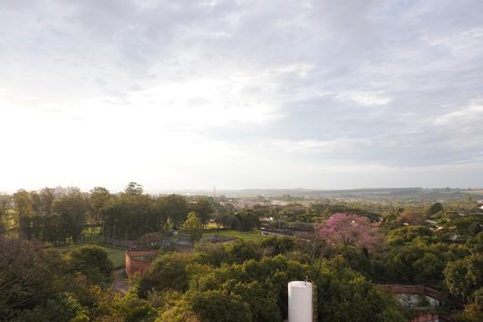 Sala - Vista da Sacada de apartamento para alugar com 3 quartos, 67m² em Parque Sabara, São Carlos
