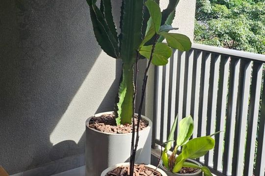 Varanda de apartamento à venda com 1 quarto, 27m² em Sumarezinho, São Paulo
