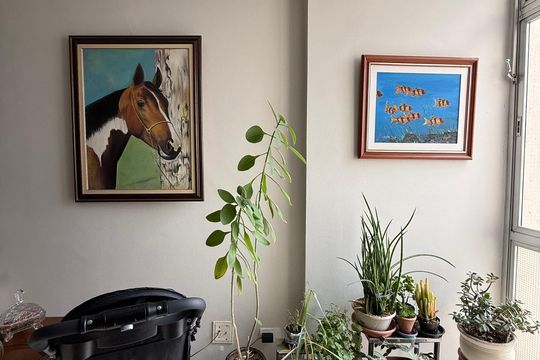 Apartamento à venda com 2 quartos, 88m² em Campos Elíseos, São Paulo