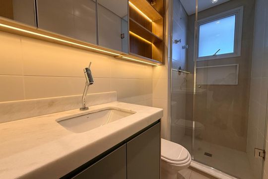 Banheiro de apartamento para alugar com 2 quartos, 52m² em Chácaras São Martinho, Campinas