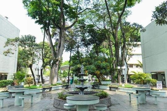 Área comum de apartamento para alugar com 3 quartos, 70m² em Parque Cecap, Guarulhos