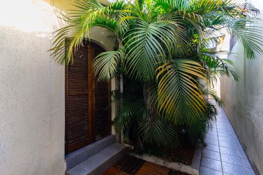 Área Comum de casa para alugar com 3 quartos, 300m² em Vila da Saúde, São Paulo