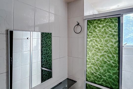 Banheiro de apartamento para alugar com 2 quartos, 56m² em Vila Silvia, São Paulo
