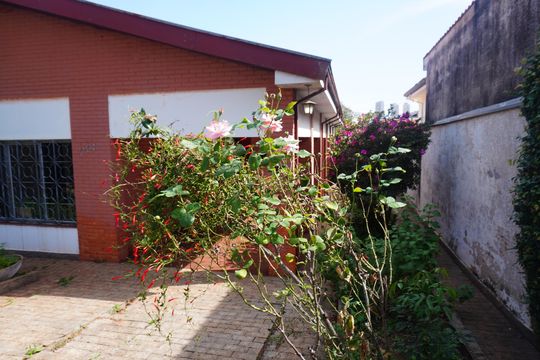 Quintal de casa para alugar com 3 quartos, 600m² em Vila Nossa Senhora de Fatima, Americana