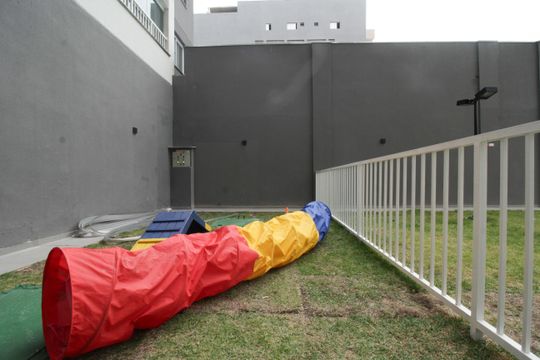 Pet place de kitnet/studio para alugar com 1 quarto, 17m² em Vila Arcadia, São Paulo
