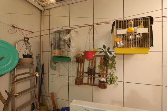 Quintal de casa de condomínio à venda com 3 quartos, 115m² em Utinga, Santo André