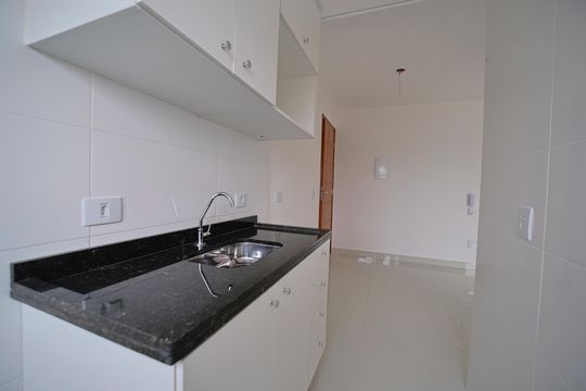 Cozinha de apartamento para alugar com 2 quartos, 40m² em Vila Talarico, São Paulo