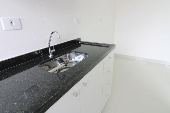 cozinha de apartamento para alugar com 2 quartos, 41m² em Vila Talarico, São Paulo