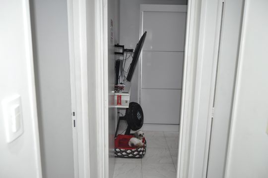 Apartamento à venda com 2 quartos, 55m² em Tomás Coelho, Rio de Janeiro