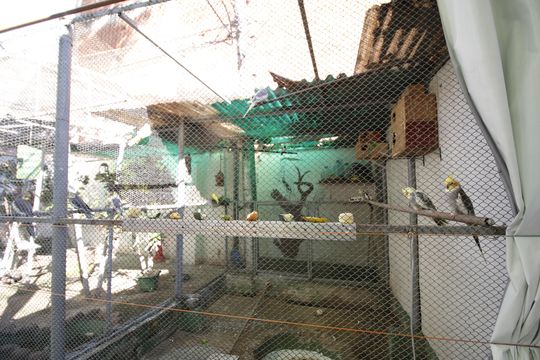 Viveiro  de apartamento para alugar com 2 quartos, 50m² em Taquara, Rio de Janeiro