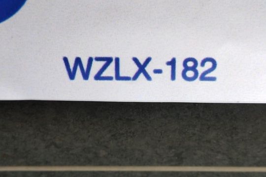 placa instalada WZLX-182 de apartamento à venda com 3 quartos, 122m² em Santo Antônio, Belo Horizonte