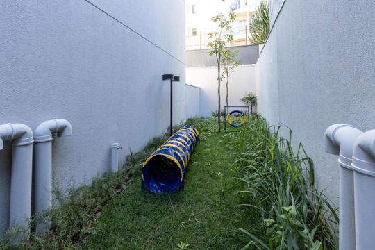 Área comum - Pet de kitnet/studio para alugar com 1 quarto, 25m² em Vila Leopoldina, São Paulo