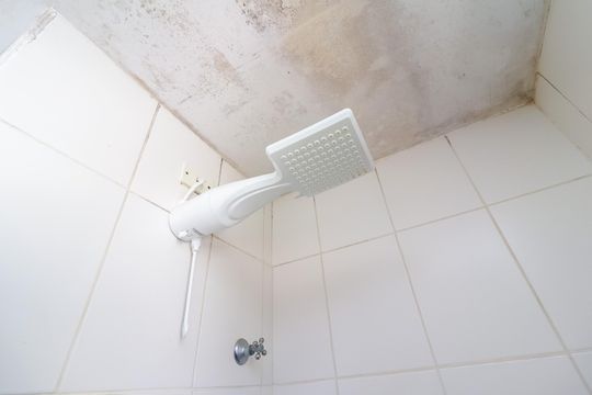 Banheiro de apartamento para alugar com 2 quartos, 45m² em Itaim Paulista, São Paulo