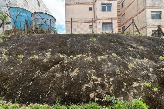 Vista de apartamento para alugar com 2 quartos, 60m² em Jardim Rio das Pedras, Cotia