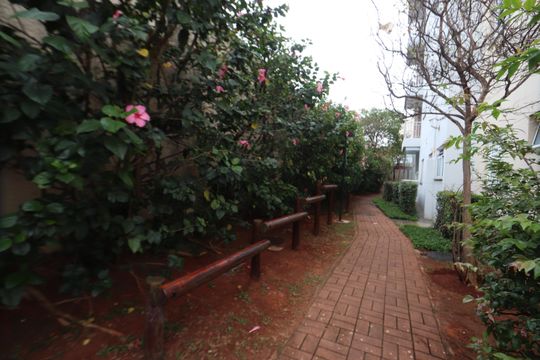 Área comum - Fitness de apartamento para alugar com 2 quartos, 50m² em Quinta da Paineira, São Paulo
