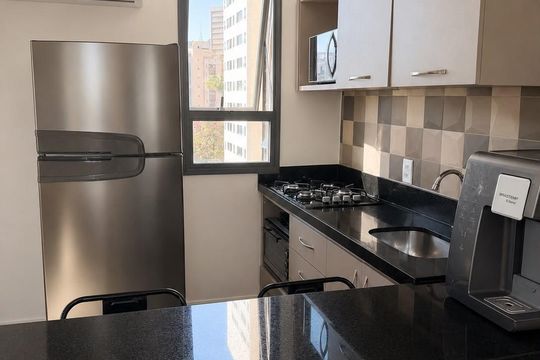 Cozinha de apartamento para alugar com 1 quarto, 55m² em Funcionários, Belo Horizonte