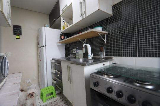 Cozinha de apartamento para alugar com 2 quartos, 47m² em Vila Alpina, São Paulo