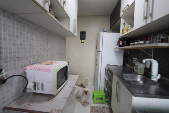 Cozinha de apartamento para alugar com 2 quartos, 47m² em Vila Alpina, São Paulo