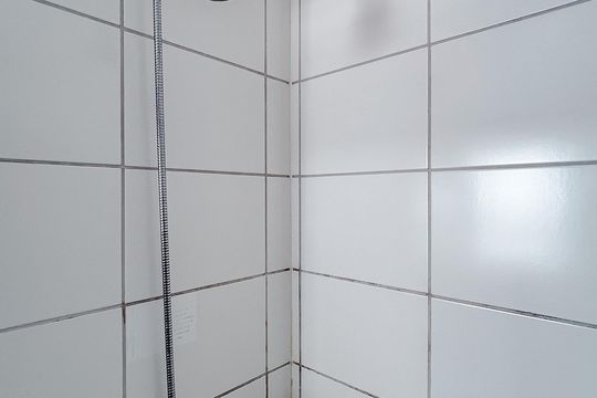 Banheiro de apartamento para alugar com 2 quartos, 44m² em Penha de França, São Paulo