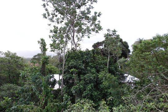 Área externa de casa à venda com 4 quartos, 310m² em Itanhangá, Rio de Janeiro