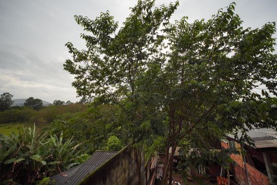 Vista de kitnet/studio para alugar com 1 quarto, 30m² em Serraria, São José