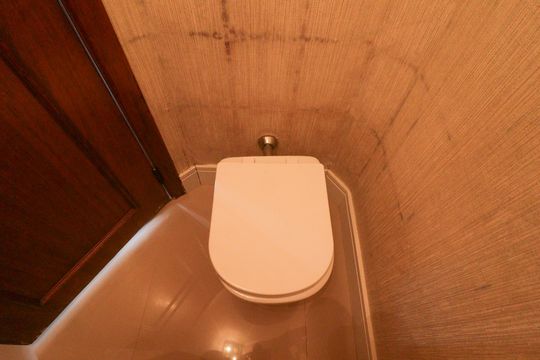 Lavabo de apartamento à venda com 3 quartos, 220m² em Santana, São Paulo