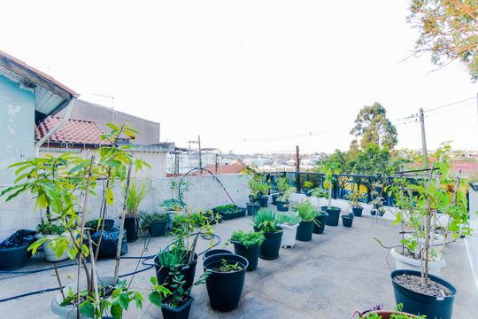 Varanda Suíte  de casa à venda com 3 quartos, 320m² em Vila Paraiso, Guarulhos