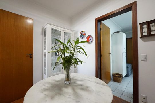 Copa de apartamento para alugar com 4 quartos, 136m² em Ipiranga, São Paulo
